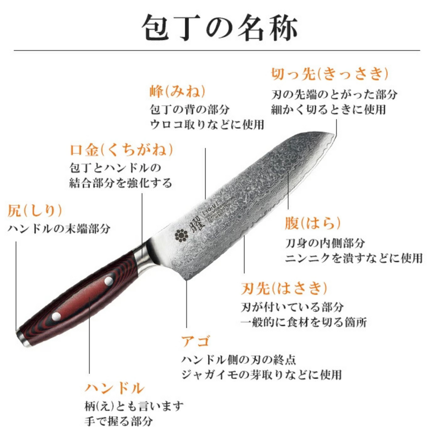 سكين YO 101 | نواة من الفولاذ SG2 المحاط ب 101 طبقة من الفولاذ الدمشقي ومقبض من Canvas Micarta | عدة قياسات من العلامة التجارية اليابانية الرائدة Yaxell