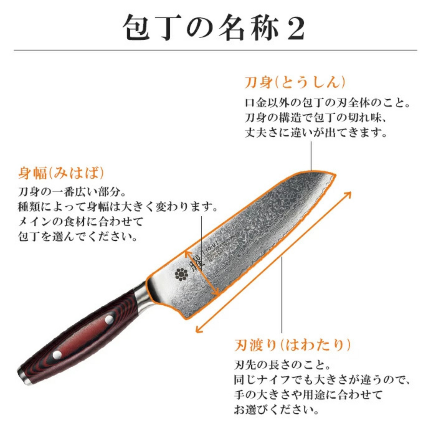 سكين YO 101 | نواة من الفولاذ SG2 المحاط ب 101 طبقة من الفولاذ الدمشقي ومقبض من Canvas Micarta | عدة قياسات من العلامة التجارية اليابانية الرائدة Yaxell