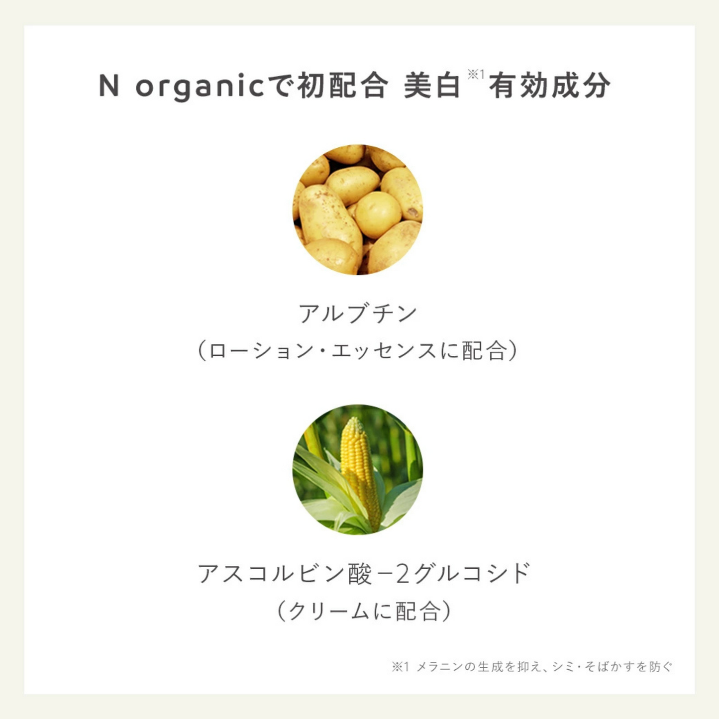 مجموعة العناية بالبشرة N organic Bright تفتيح وترطيب وتنظيف البشرة | تركيبة غنية بالمكونات الطبيعية والطبية اللطيفة على البشرة لترطيب عميق وإشراقة طبيعية للبشرة | صنع في اليابان