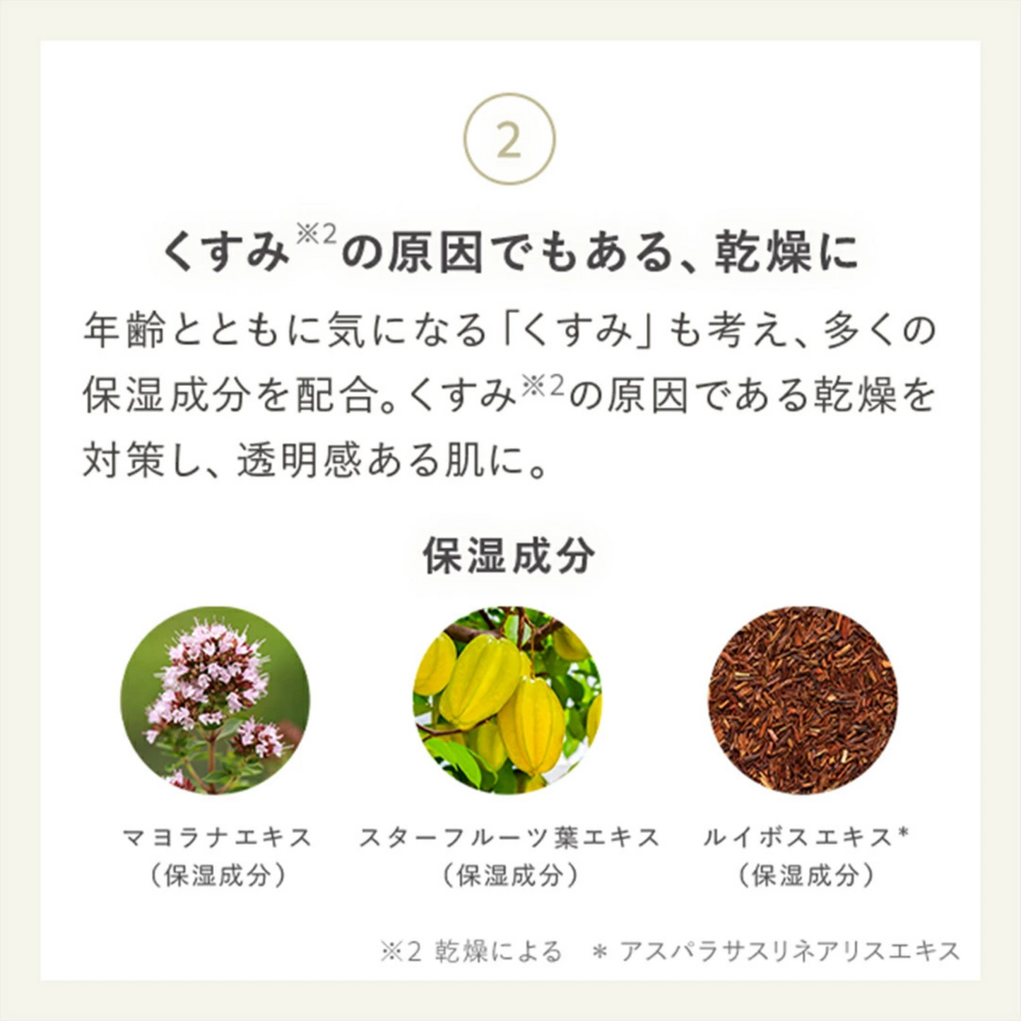 مجموعة العناية بالبشرة N organic Bright تفتيح وترطيب وتنظيف البشرة | تركيبة غنية بالمكونات الطبيعية والطبية اللطيفة على البشرة لترطيب عميق وإشراقة طبيعية للبشرة | صنع في اليابان
