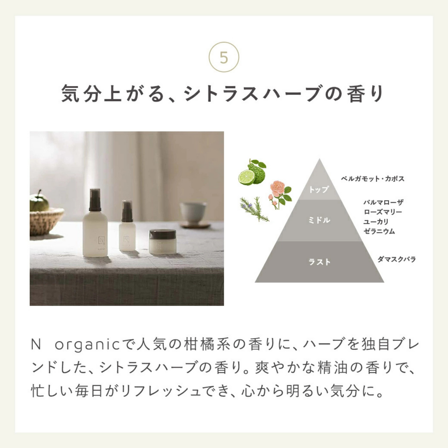 مجموعة العناية بالبشرة N organic Bright تفتيح وترطيب وتنظيف البشرة | تركيبة غنية بالمكونات الطبيعية والطبية اللطيفة على البشرة لترطيب عميق وإشراقة طبيعية للبشرة | صنع في اليابان