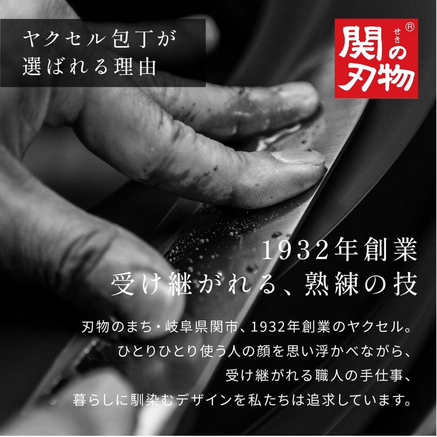 سكين Kaneyoshi الاحترافية تصميم غربي | 3 طبقات من الفولاذ ونواة من الفولاذ SGT | عدة قياسات | من العلامة التجارية Yaxell | صنع في اليابان