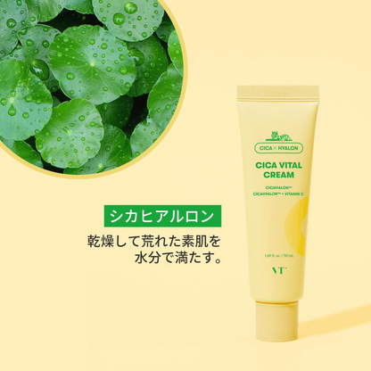 مجموعة كريمات العناية المتكاملة بالبشرة من VT Cosmetics | بتركيبة غنية بالخلاصات والأعشاب الطبيعية والبانثينول والفيتامينات | صنع في كوريا [من أكثر المنتجات مبيعًا عالميًا]