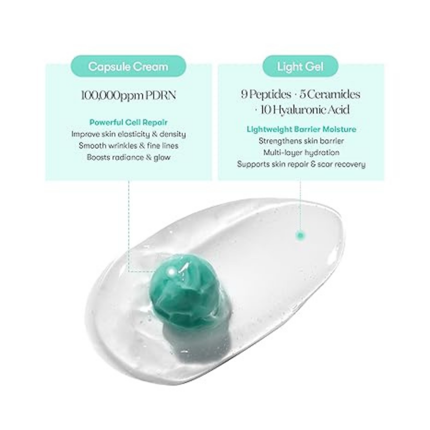 [بكج من عبوتين] VT COSMETICS PDRN Capsule Cream – كريم PDRN نباتي 100,000ppm لتجديد البشرة، ترطيب عميق، شدّ ومرونة، تأثير Glass Skin، تركيبة Vegan خفيفة لجميع أنواع البشرة (50 مل)