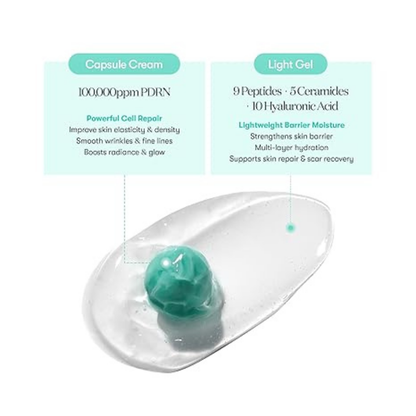 [بكج من عبوتين] VT COSMETICS PDRN Capsule Cream – كريم PDRN نباتي 100,000ppm لتجديد البشرة، ترطيب عميق، شدّ ومرونة، تأثير Glass Skin، تركيبة Vegan خفيفة لجميع أنواع البشرة (50 مل)