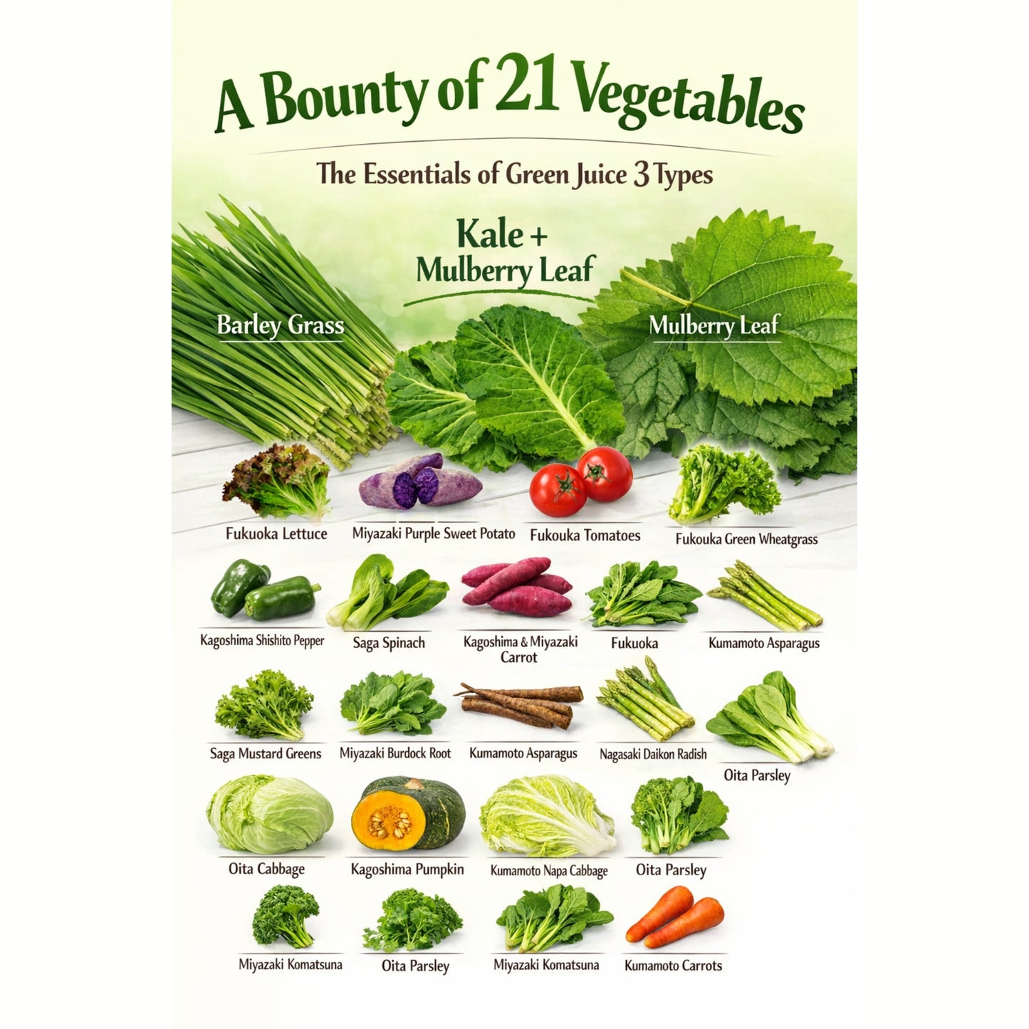 Dr. Vegifull Green Juice – مشروب نباتي طبيعي 100% بخلاصة 21 نوعًا من خضروات كيوشو اليابانية | سهل الشرب بطعم Kinako والسكر الأسود | غني بالألياف والبروتين النباتي | بدون إضافات | مناسب للبالغين والأطفال | عبوات فردية 3g