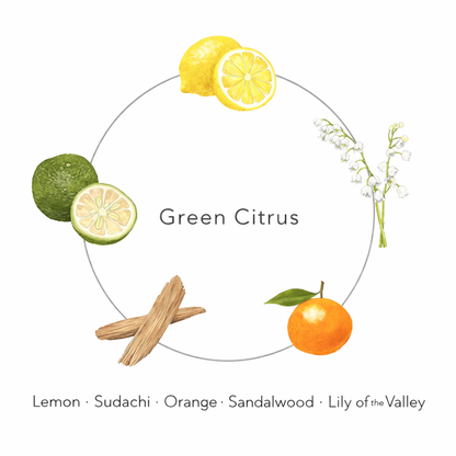 N organic Mild & Refining Hair Care Series – مجموعة عناية طبيعية للشعر وفروة الرأس بزيوت نباتية، ترطيب عميق، تقوية ولمعان، تقليل الجفاف والهيشان، برائحة Green Citrus، عناية يومية لطيفة لجميع أنواع الشعر