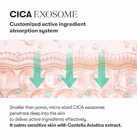 VT COSMETICS PDRN+ CICA Exosome Ampoule Serum 30ml – سيروم شدّ البشرة بمستخلص الجنسنغ الكوري، ببتيد وسيراميد، لمقاومة التجاعيد، ترطيب عميق، إشراقة طبيعية، مناسب لجميع أنواع البشرة - صنع في كوريا