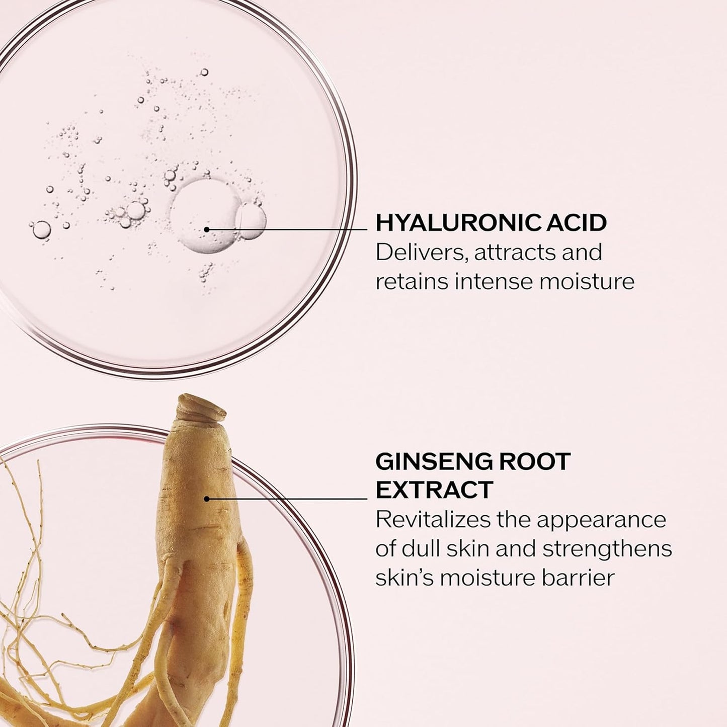 Shiseido Essential Energy Day Cream – كريم نهاري مرطب مع عامل حماية من الشمس SPF20 | 50ml