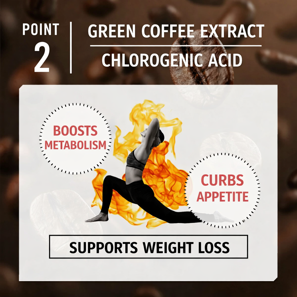 C COFFEE Charcoal Coffee Diet – قهوة الدايت اليابانية المتقدمة لتنظيف الأمعاء وحرق الدهون – مزيج بن برازيلي ممتاز + 3 أنواع من الفحم الغذائي + بروبيوتيك 200 مليون + ألياف ذائبة + MCT Oil – دعم فعّال للخصر والبطن والطاقة اليومية