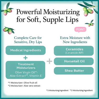 [بكج من قطعتين] DHC Medicated Lip Balm – عناية شفاه علاجية شاملة بـ4 تركيبات تناسب كل احتياج – صنع في اليابان