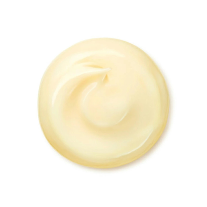 SHISEIDO Benefiance Wrinkle Smoothing Cream Enriched 50g – كريم شيسيدو المرطب لمكافحة التجاعيد وشد البشرة – ترطيب عميق لمدة 24 ساعة وتحسين مرونة ونعومة البشرة